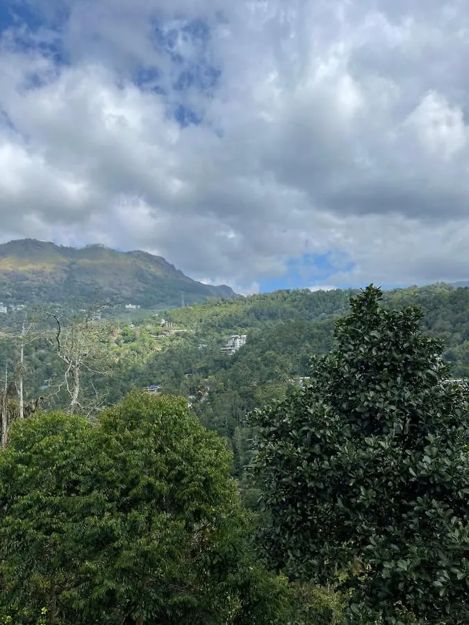 Royal Cottage Munnar Anachal